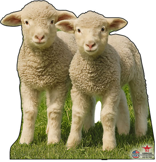 Baby Lambs Cardboard Cutout Standup