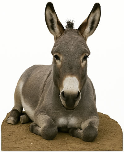 Donkey Laying Down Cardboard Cutout Standup
